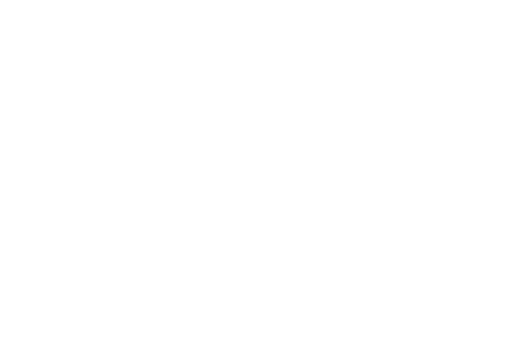 Brighton and Hove City Council logo